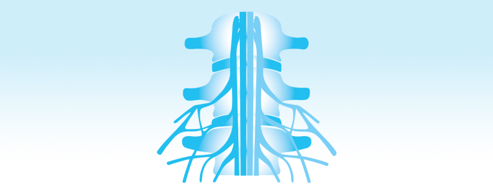 Spinal Cord Injury icon